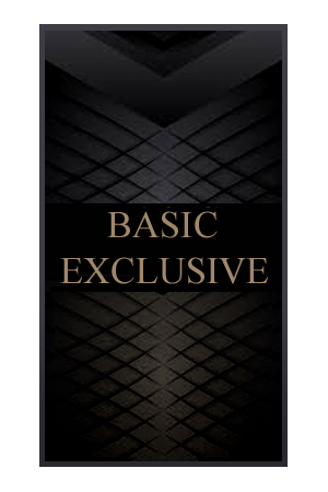 BASIC EXCLUSIVE :  Art.100-102