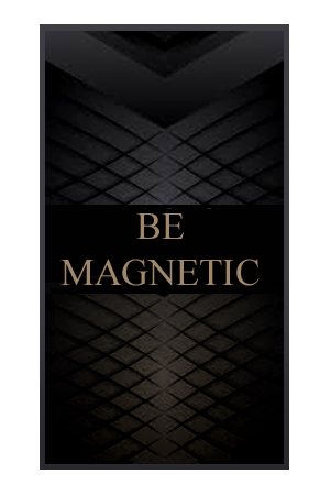 BE MAGNETIC: Art.560-577